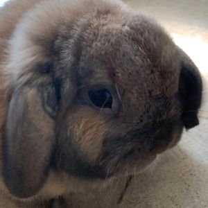 Meet your Posher, Heather